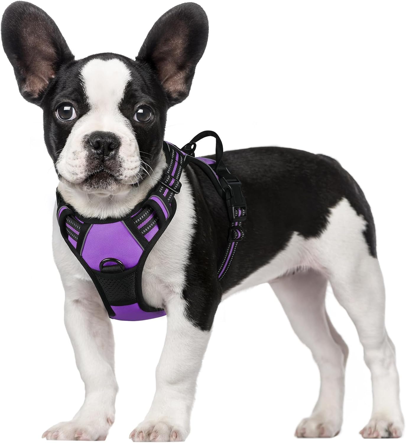 rabbitgoo Dog Harness Dog No Pull Pet Harness | PetNestUK