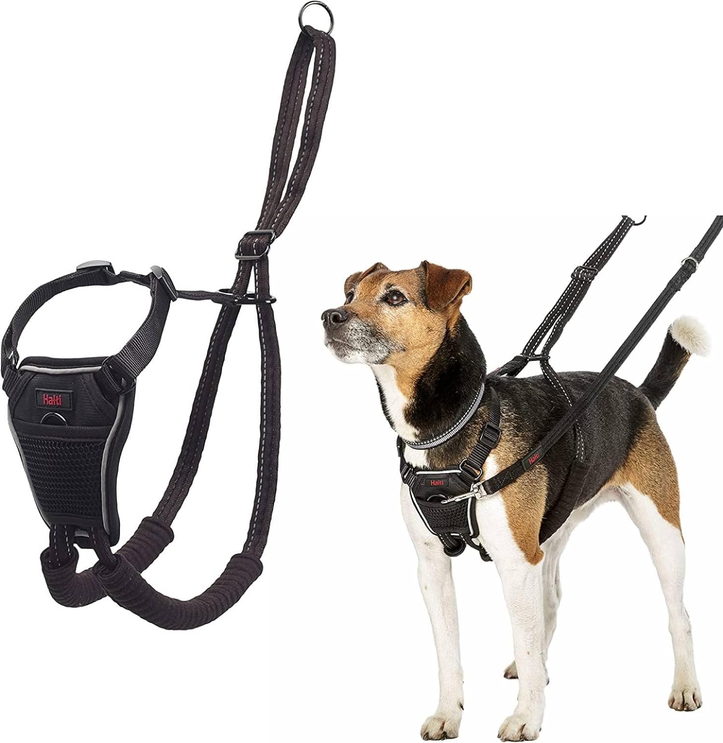 HALTI No Pull Harness Size Medium, Professional | PetNestUK