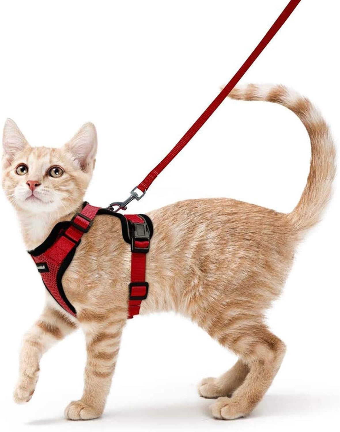 rabbitgoo Cat Harness and Lead Set, Escape Proof | PetNestUK