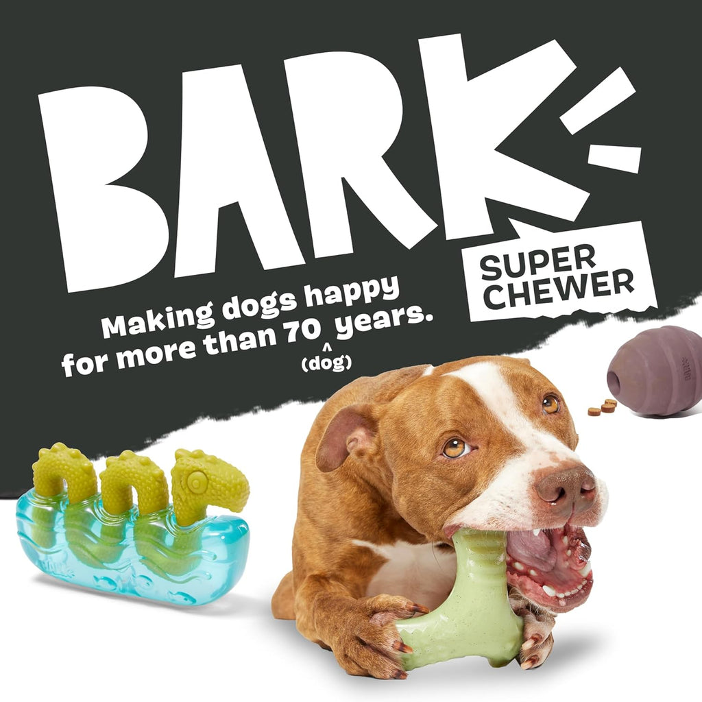 Barkbox Squeaky Dog Toys - Plush and Squeak Chew | PetNestUK
