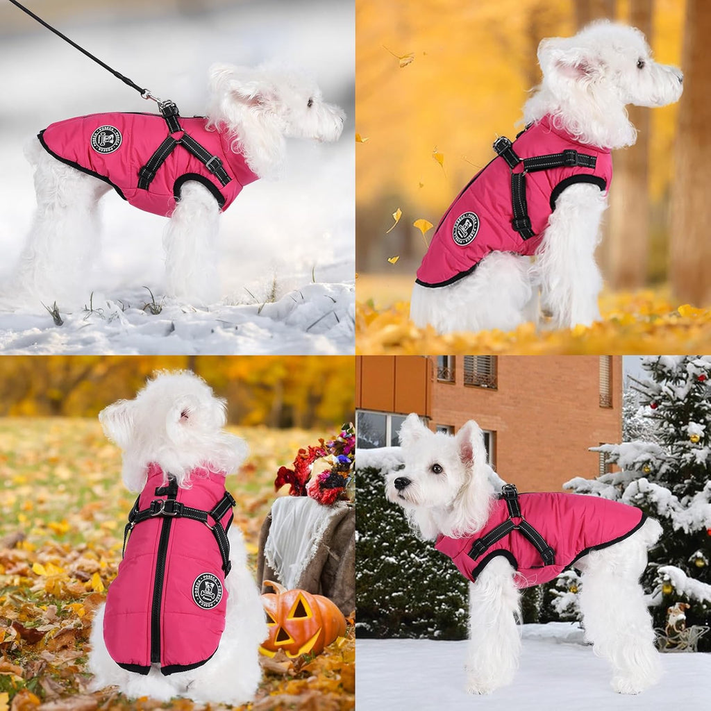 Poseca Dog Clothes for Small Dogs Dog Coat | PetNestUK