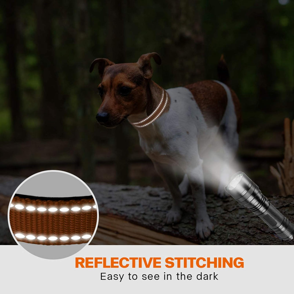 Taglory Reflective Nylon Dog Collar with Safety | PetNestUK