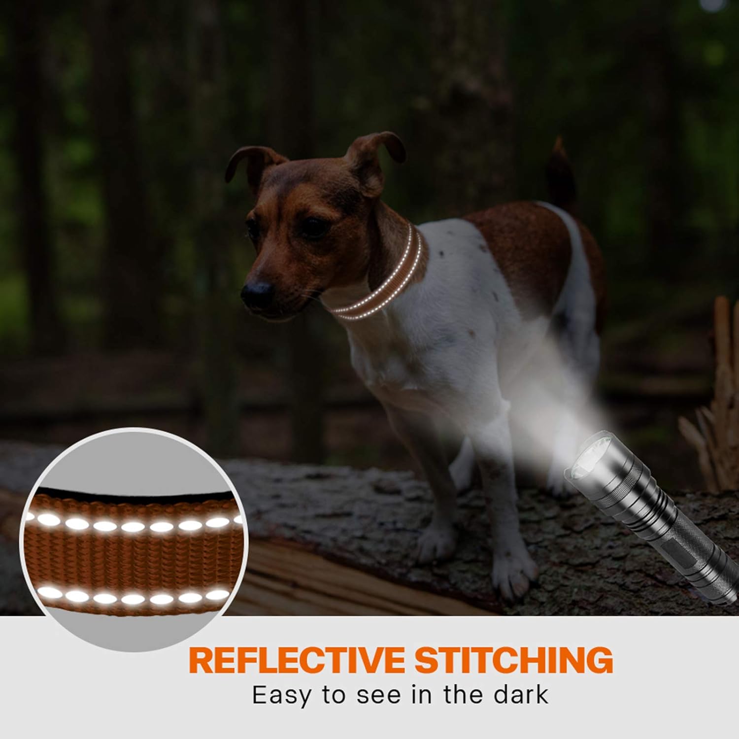 Taglory Reflective Nylon Dog Collar with Safety | PetNestUK