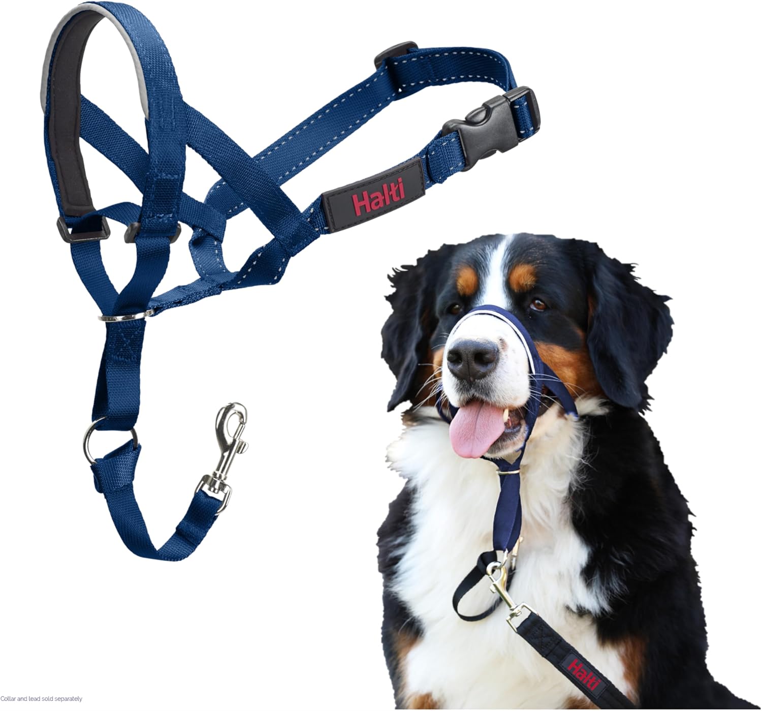 HALTI Headcollar, UK Bestselling Harness to Stop | PetNestUK