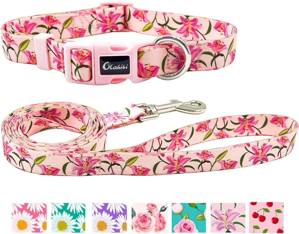 Olahibi Patterned Dog Collar and Lead Sets