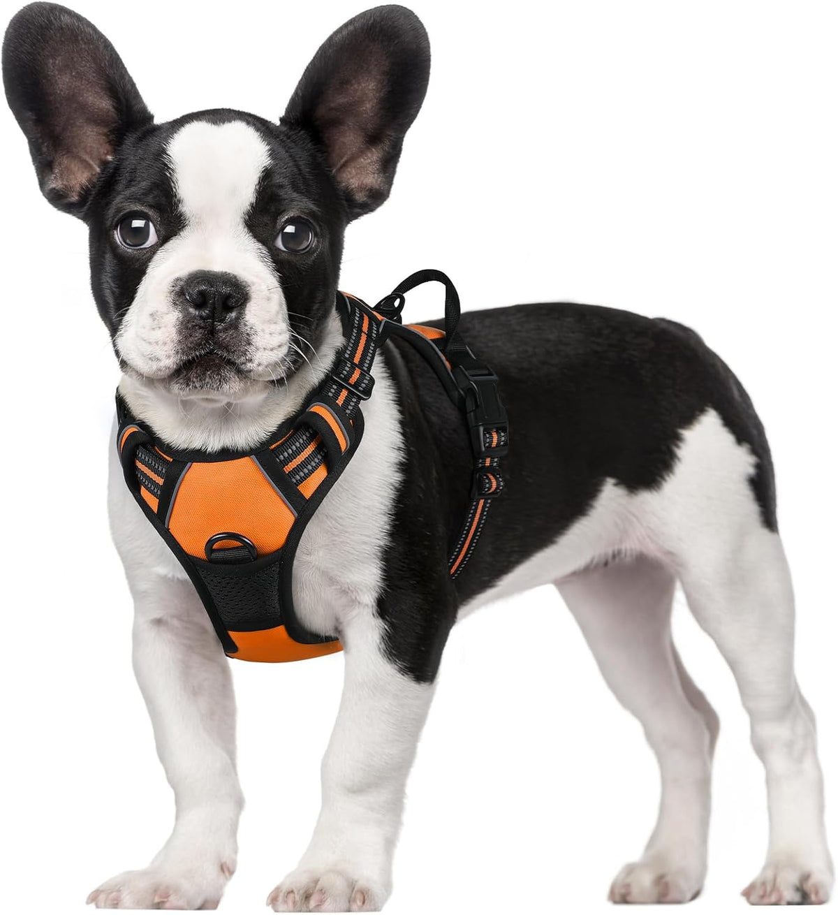 rabbitgoo Padded Dog Harness with Two Lead Clips