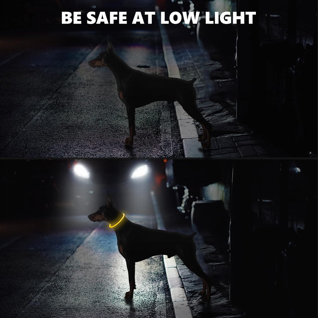 SerDa-Run Light Up Dog Collar, Dog Collar Lights | PetNestUK
