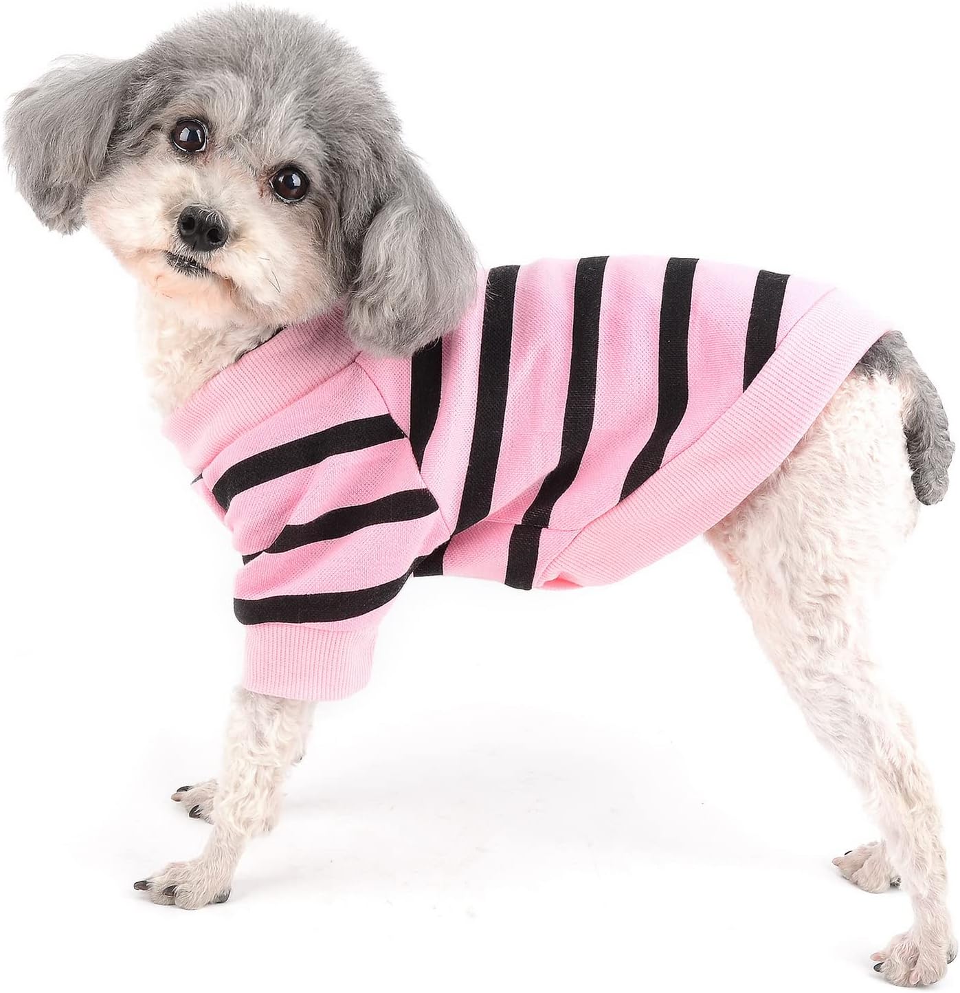 Zunea Dog Shirts for Small Dogs Summer Basic | PetNestUK