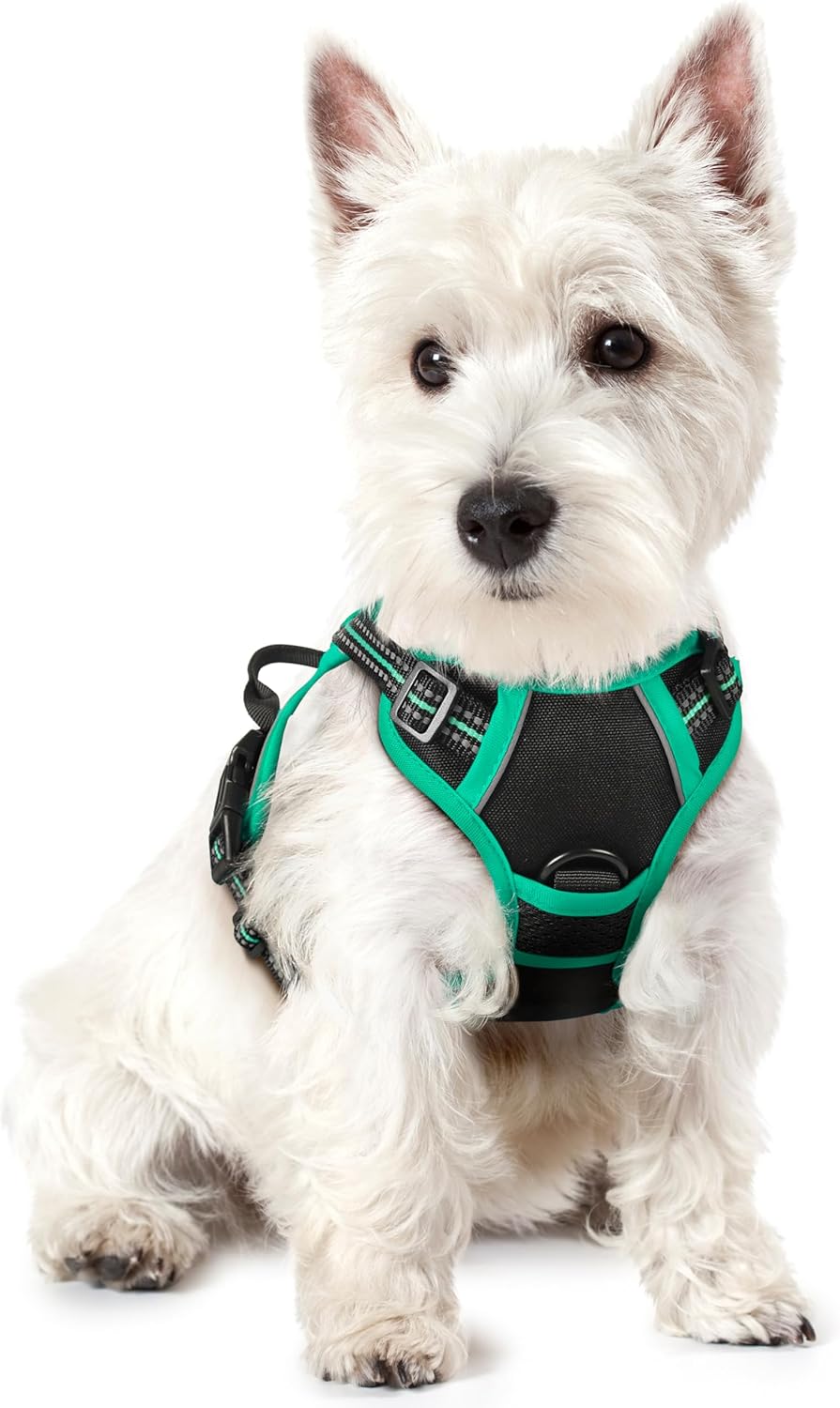 rabbitgoo Padded Dog Harness with Two Lead Clips