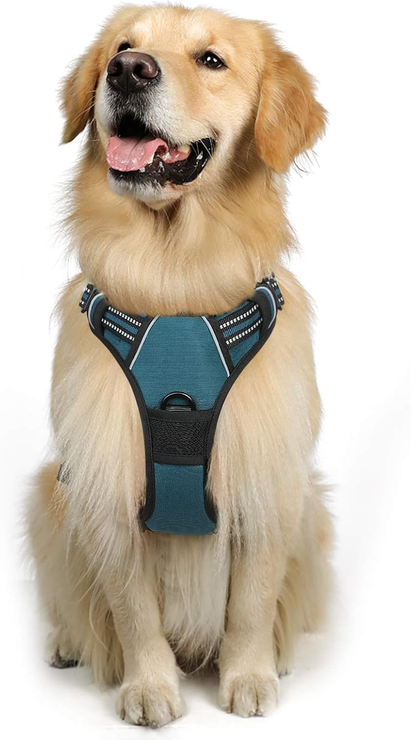 rabbitgoo Dog Harness Dog No Pull Pet Harness | PetNestUK