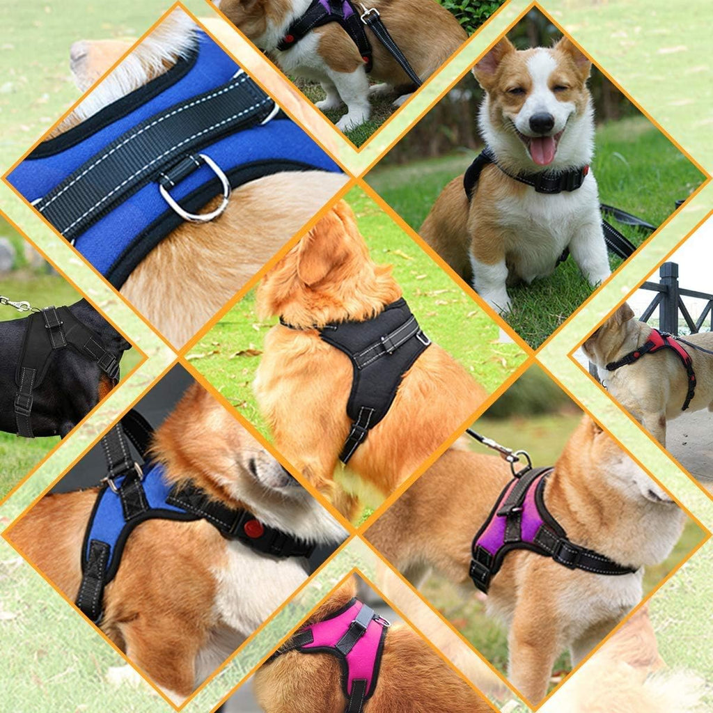 Musonic No Pull Dog Harness Breathable | PetNestUK