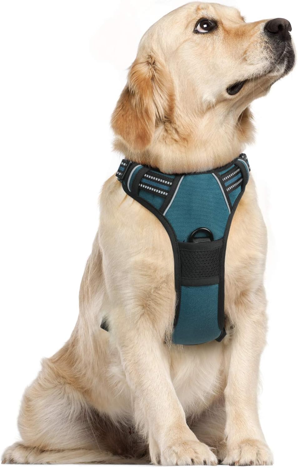 rabbitgoo Dog Harness Dog No Pull Pet Harness | PetNestUK