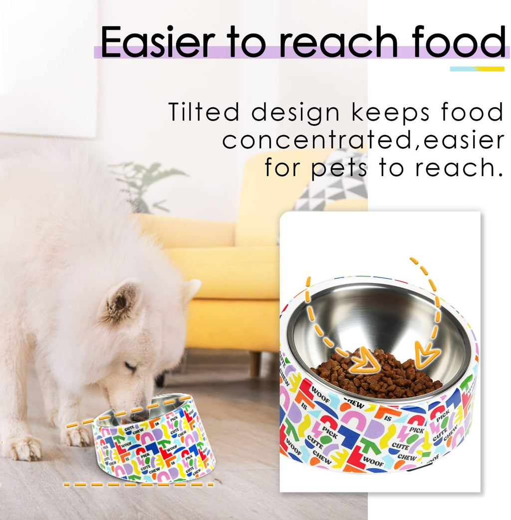 SuperDesign Slanted Stainless-Steel Pet Bowl