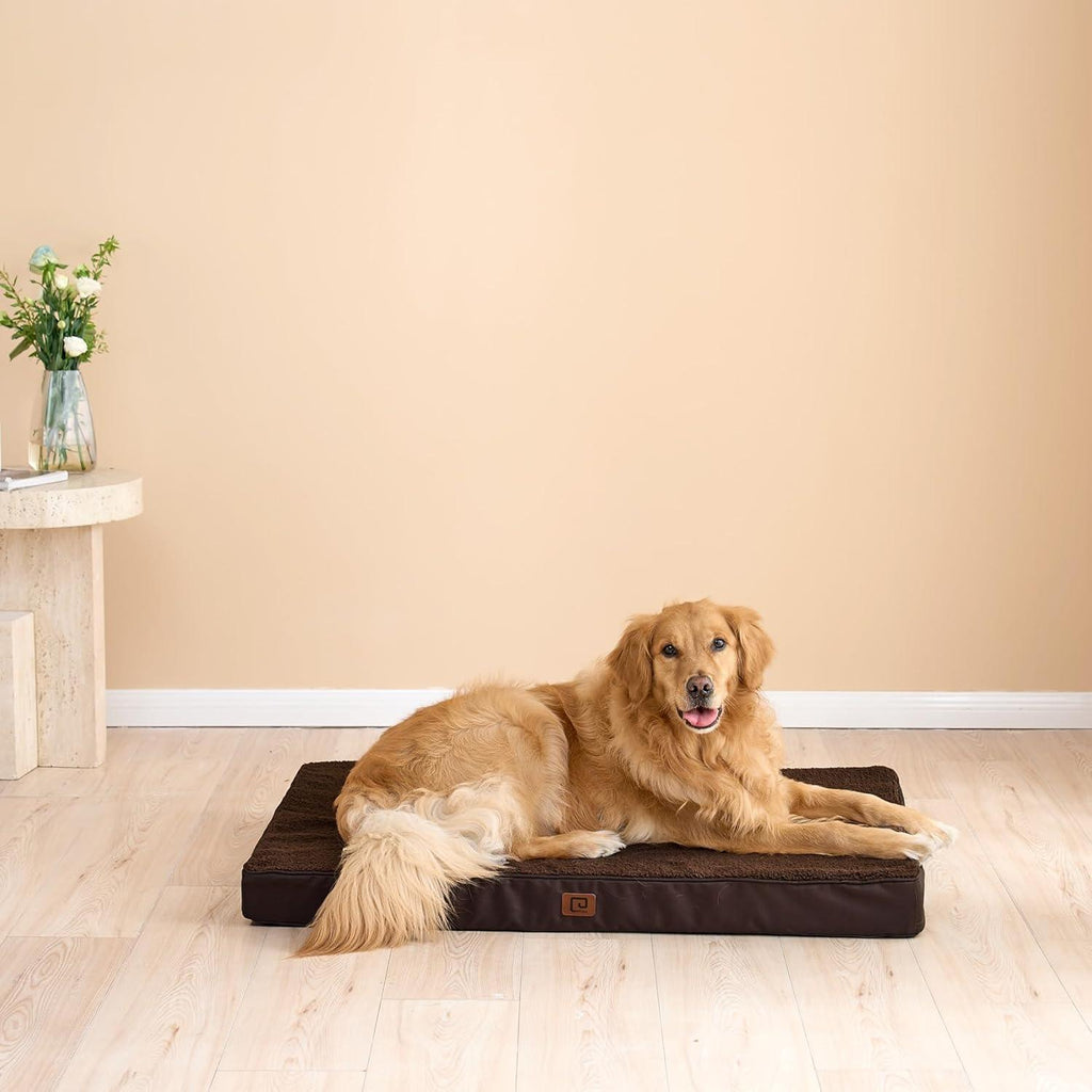 EHEYCIGA Orthopedic Dog Beds Small, Medium, | PetNestUK