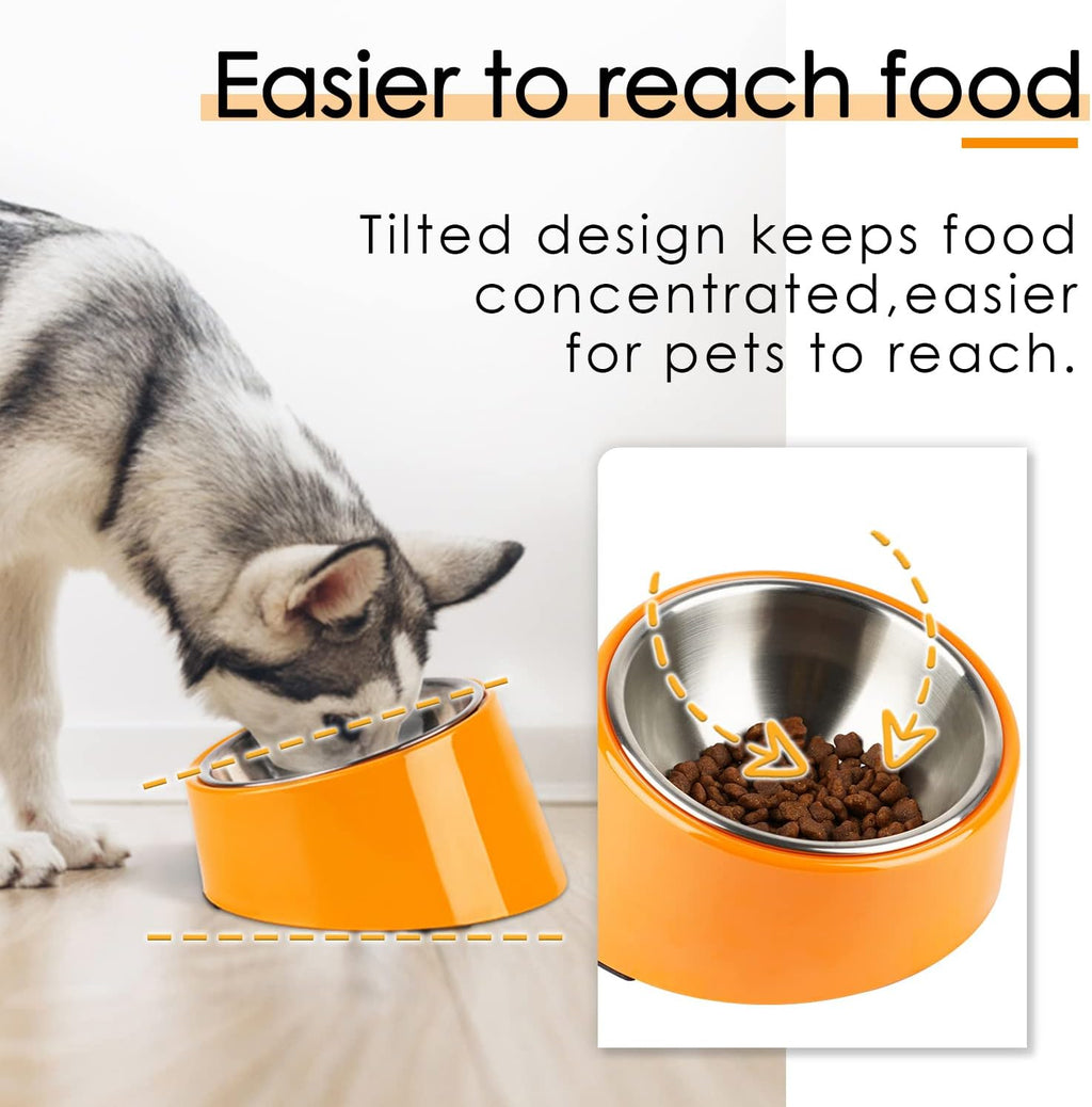 SuperDesign Mess Free 15° Slanted Bowl for Dogs | PetNestUK