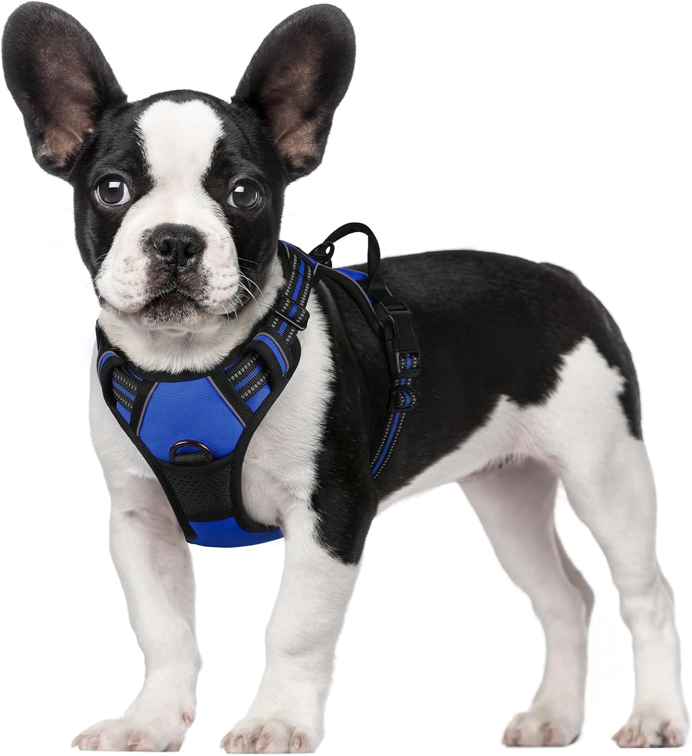 rabbitgoo Dog Harness Dog No Pull Pet Harness | PetNestUK