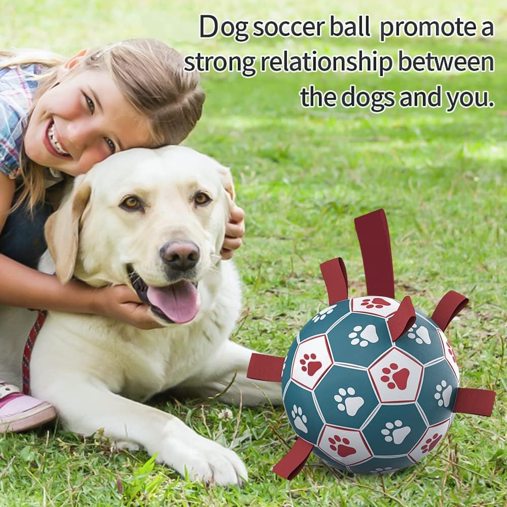 HETOO Dog Football with Grab Tabs