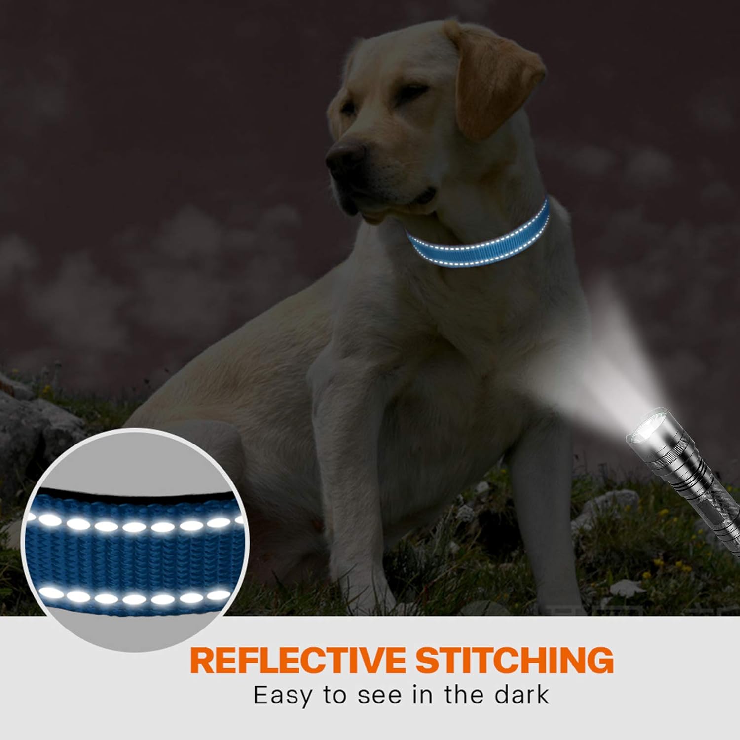 Taglory Reflective Nylon Dog Collar with Safety | PetNestUK