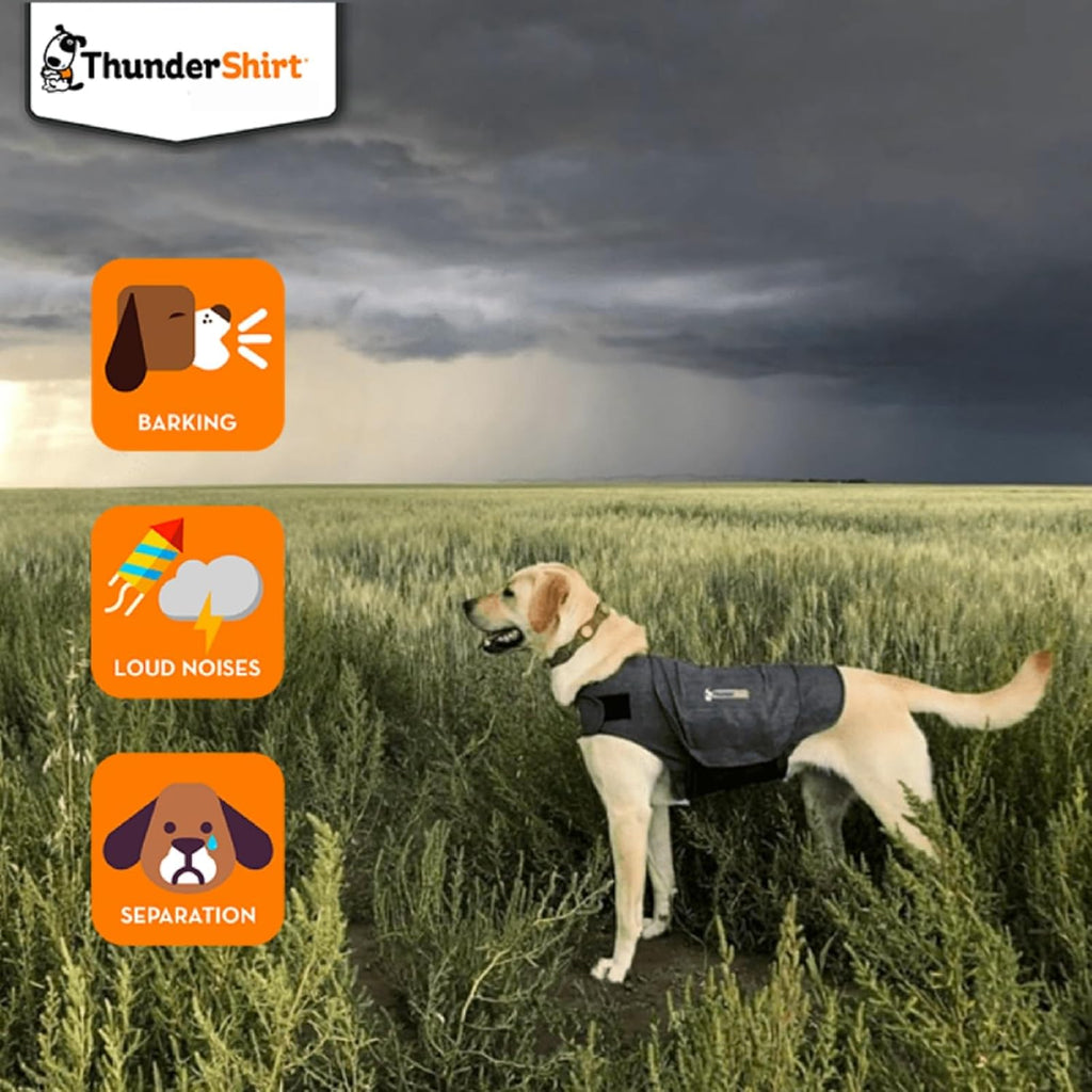 ThunderShirt for Dogs | PetNestUK