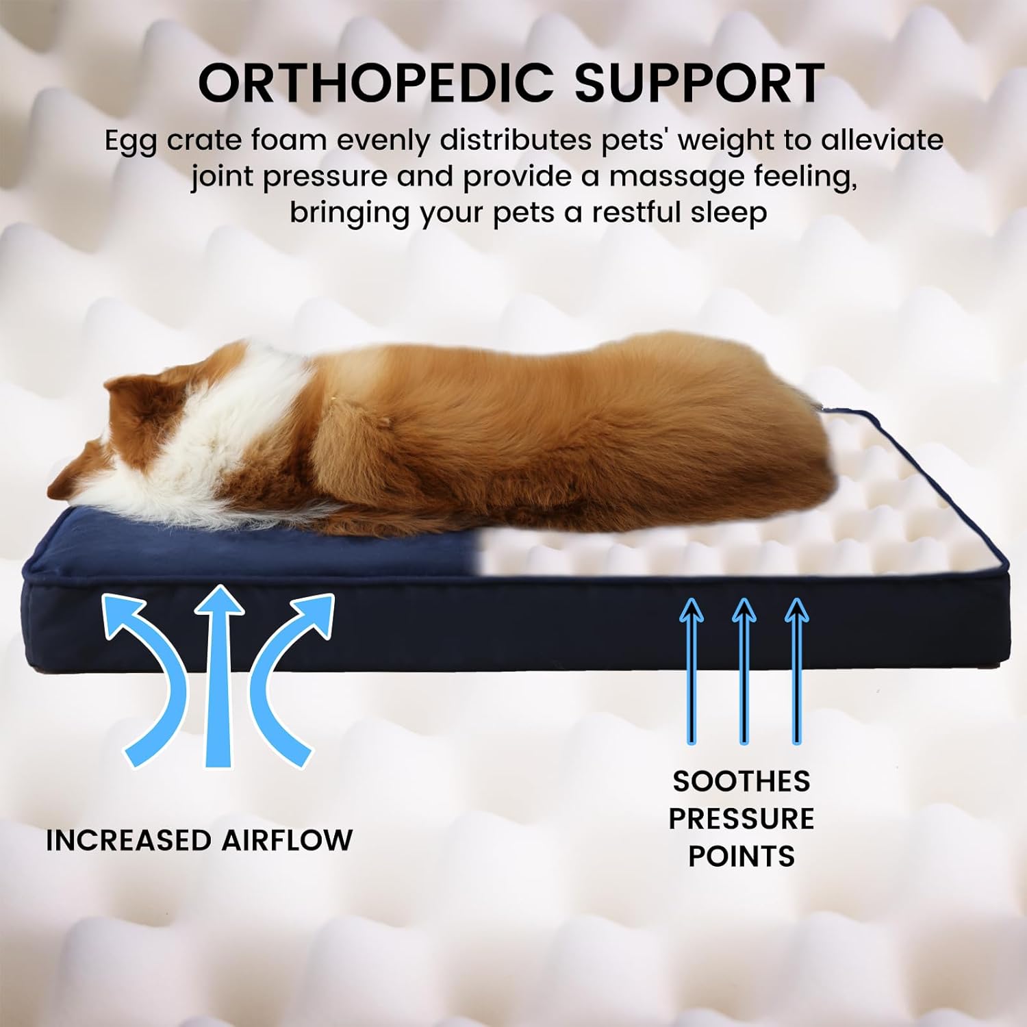 Jaspuriea Orthopedic Dog Beds Washable with | PetNestUK