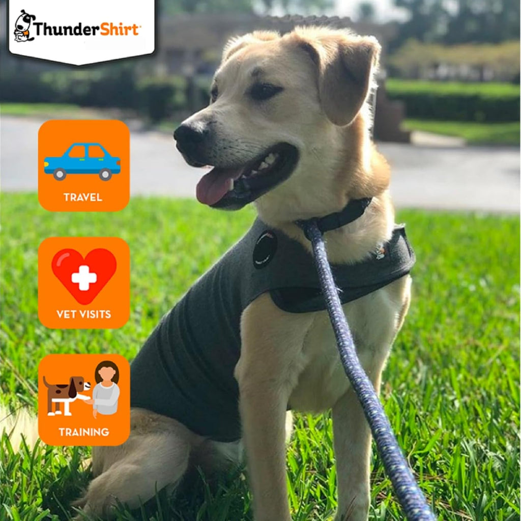 ThunderShirt for Dogs | PetNestUK