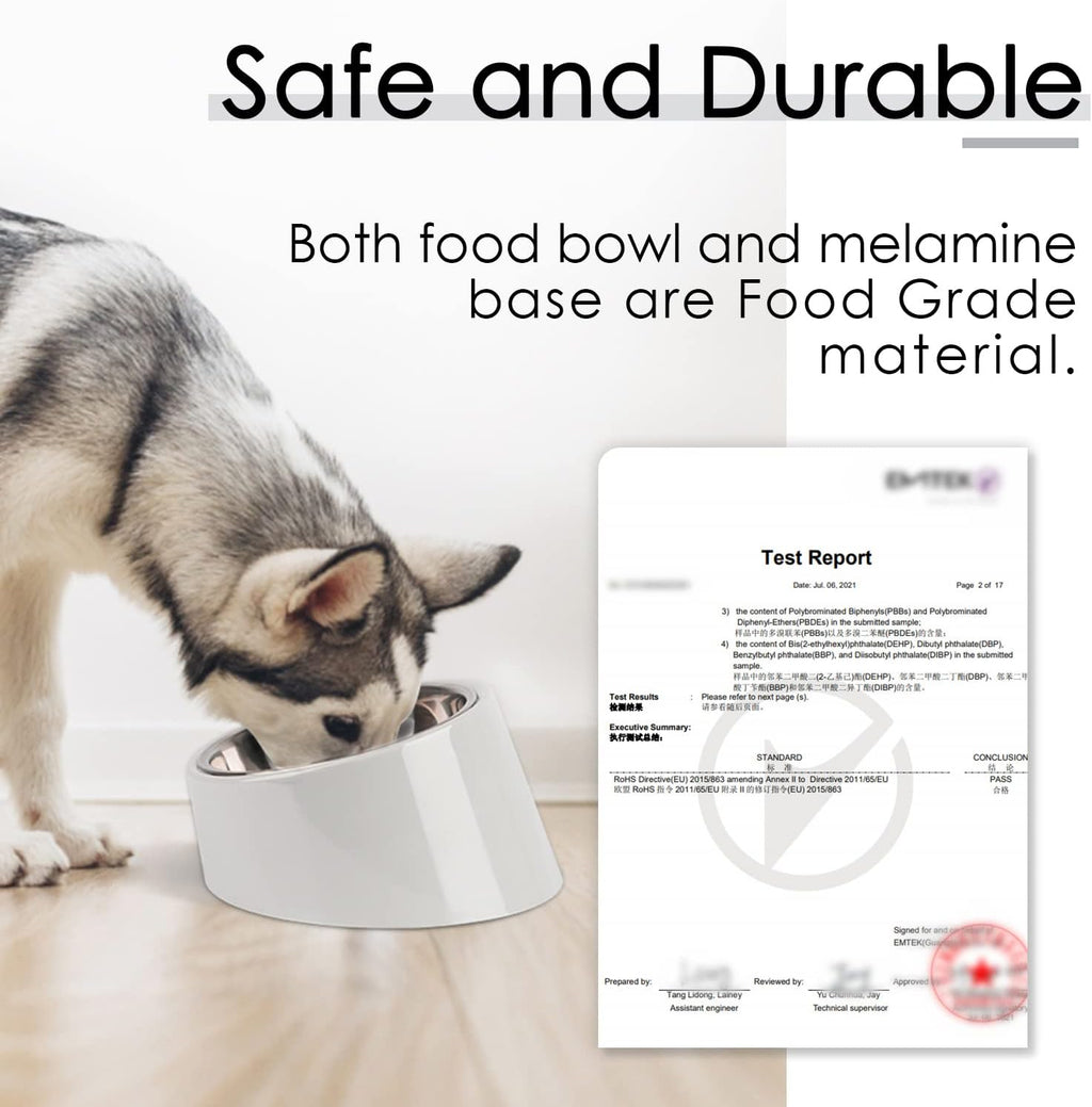 SuperDesign Slanted Stainless-Steel Pet Bowl
