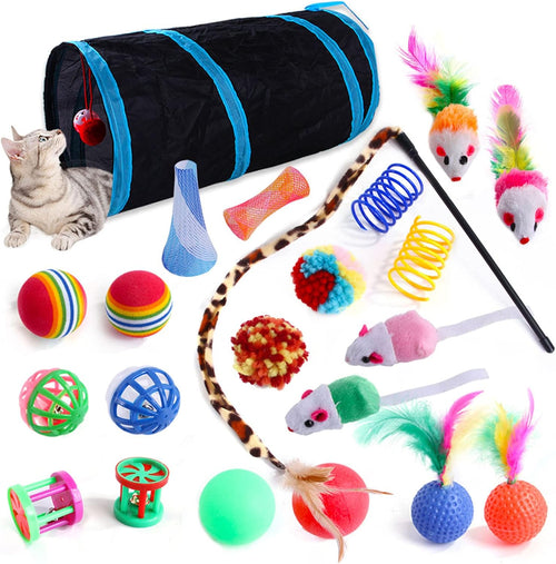 20 Pcs Cat Toys for Indoor Kitten, Collapsible | PetNestUK