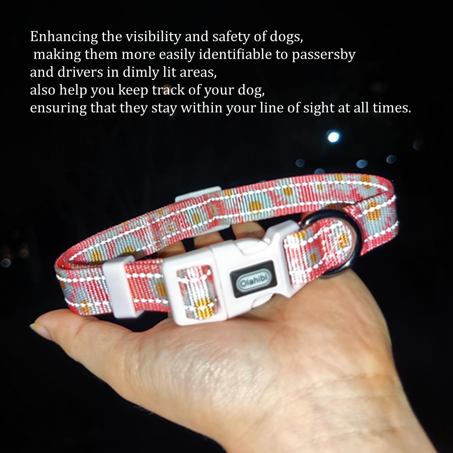 Olahibi Daisy Pattern Dog Collar and Leash | PetNestUK