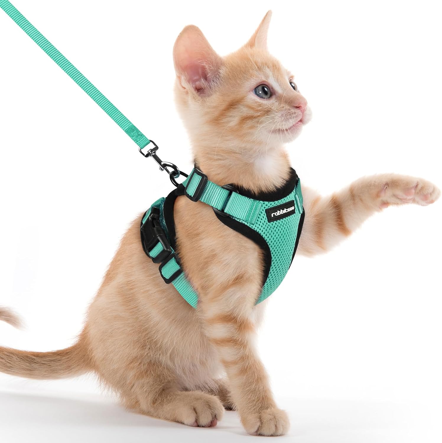 rabbitgoo Cat Harness and Lead Set, Escape Proof | PetNestUK
