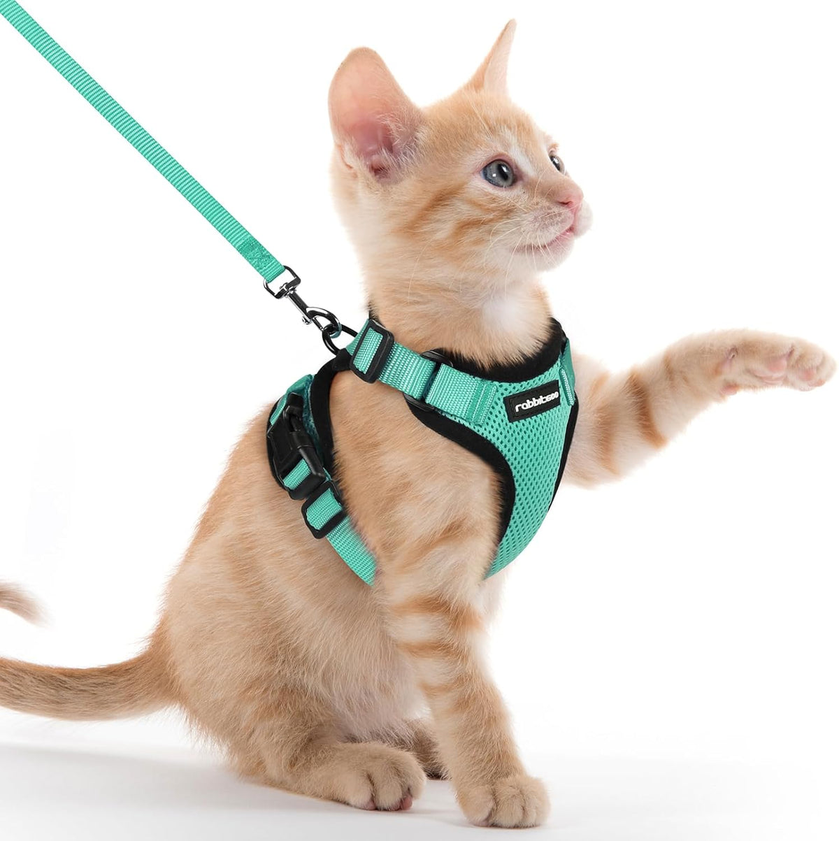 rabbitgoo Adjustable Cat Harness and Lead Set