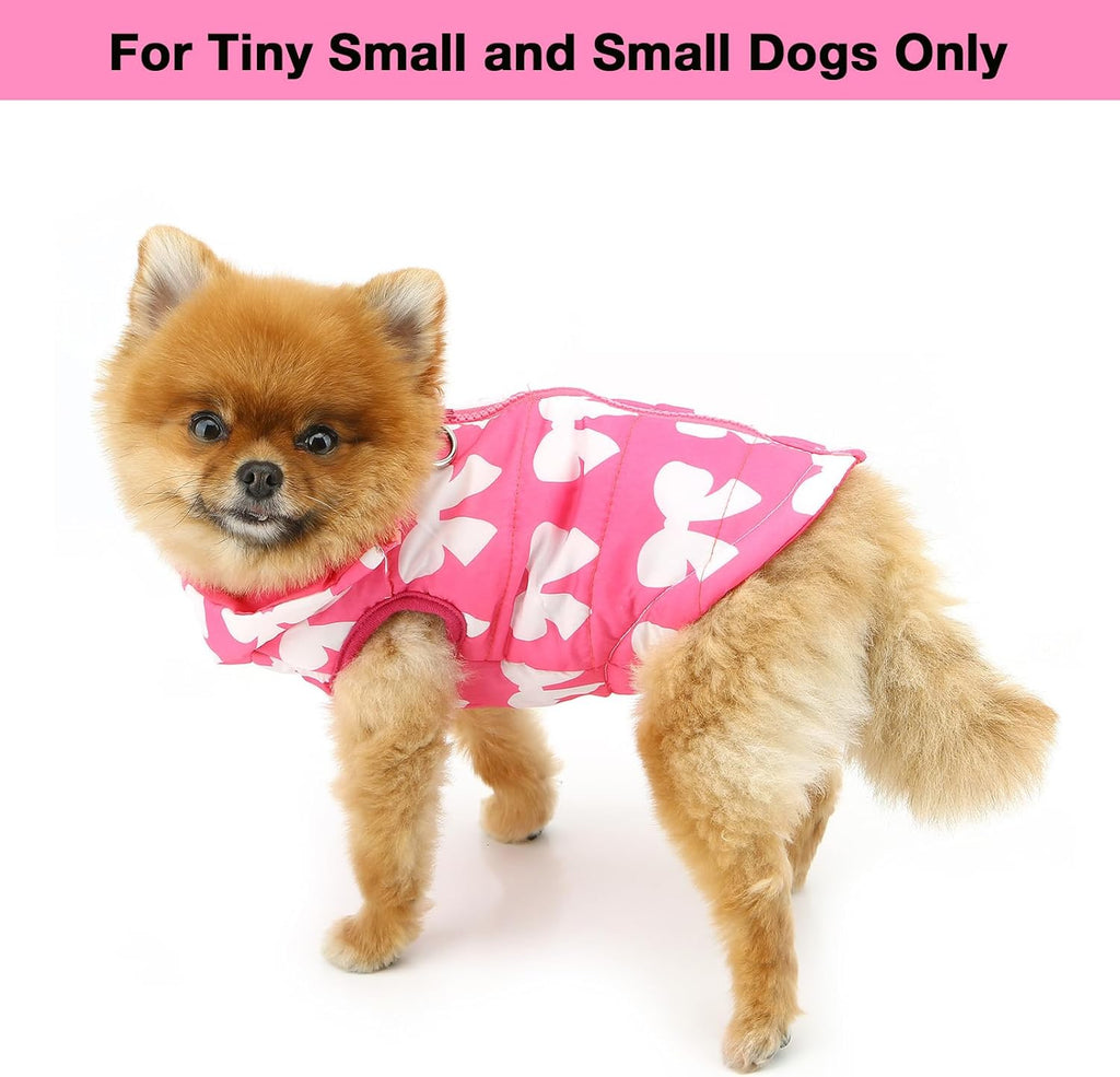 SMALLLEE_LUCKY_STORE Small Dog Cat Winter Coat | PetNestUK