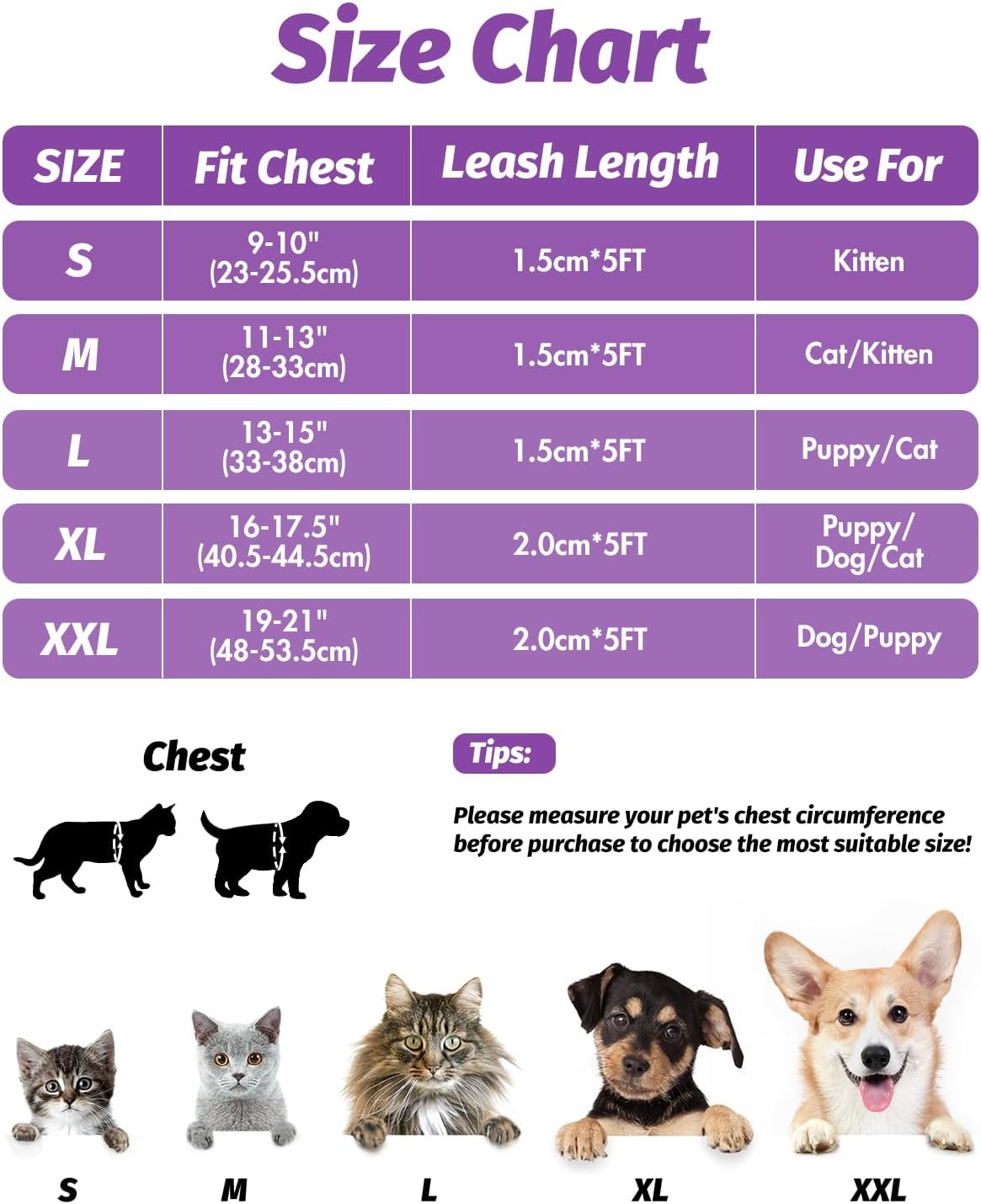 FAYOGOO Cat Harness and Lead Set, Cat Harness | PetNestUK