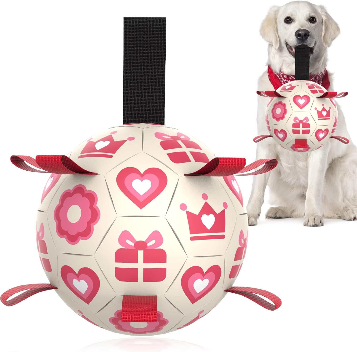 HETOO Interactive Dog Football Toys with Grab | PetNestUK