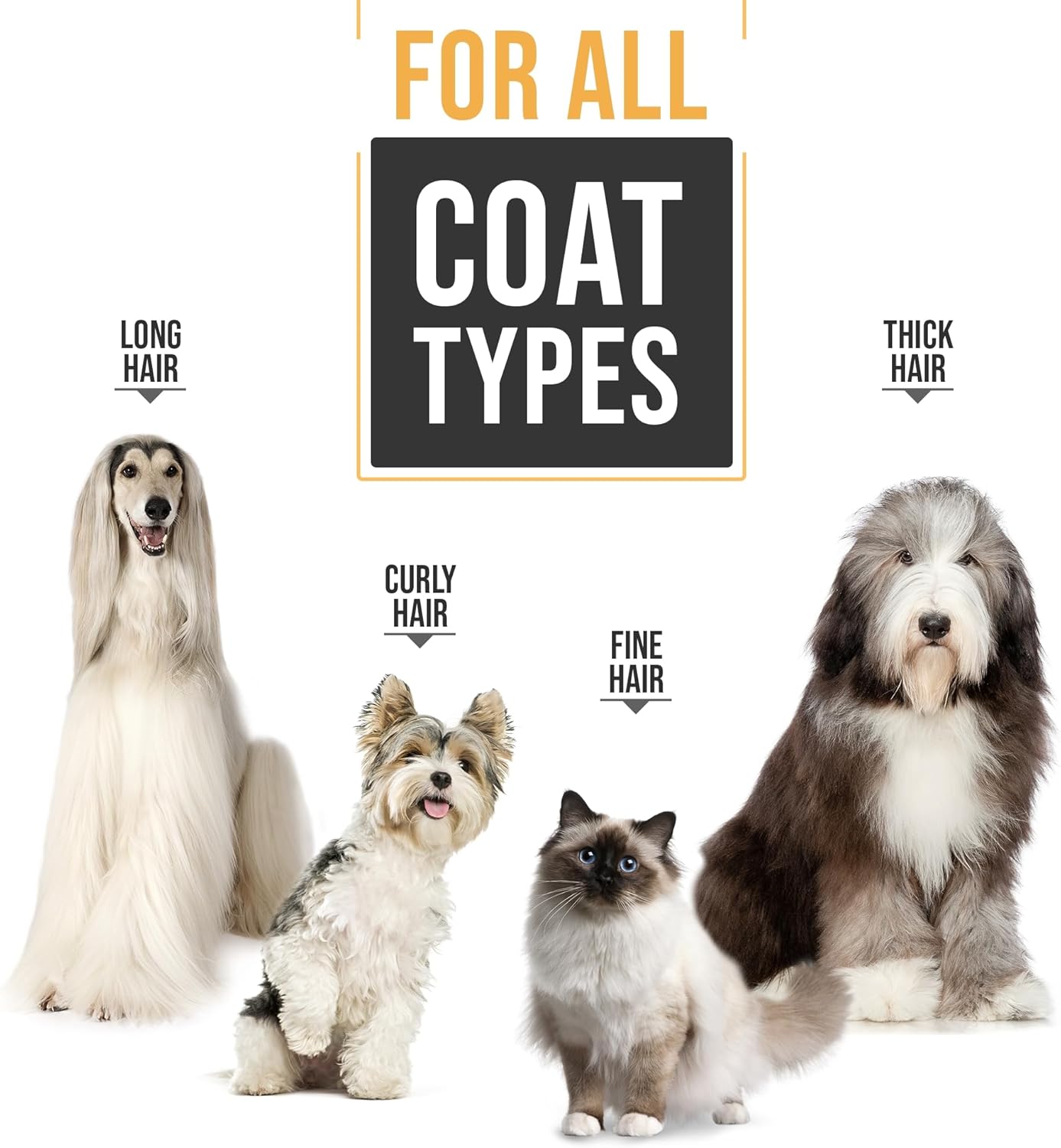 Premium Pet Grooming Kit for Dogs Cats | PetNestUK