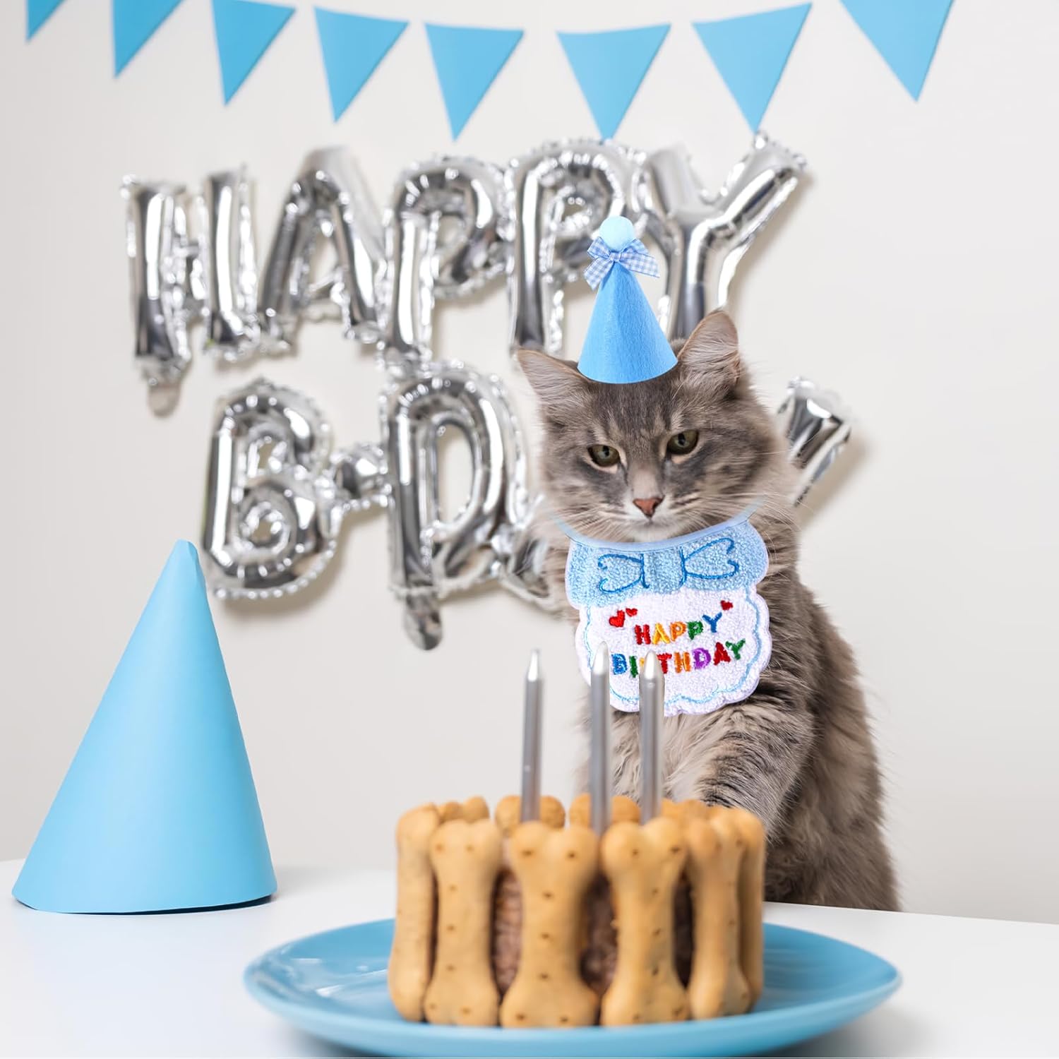 Small Dog Cat Birthday Hat Scarf Set,Cute Cat | PetNestUK
