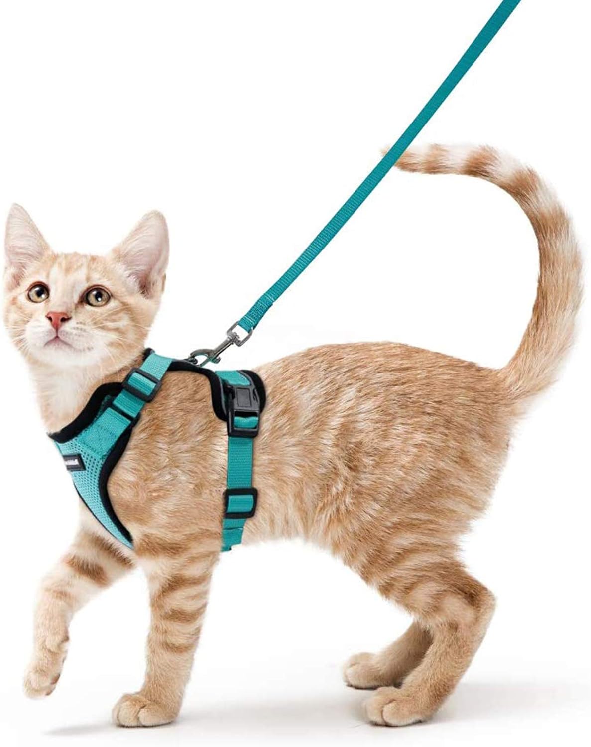 rabbitgoo Cat Harness and Lead Set, Escape Proof | PetNestUK