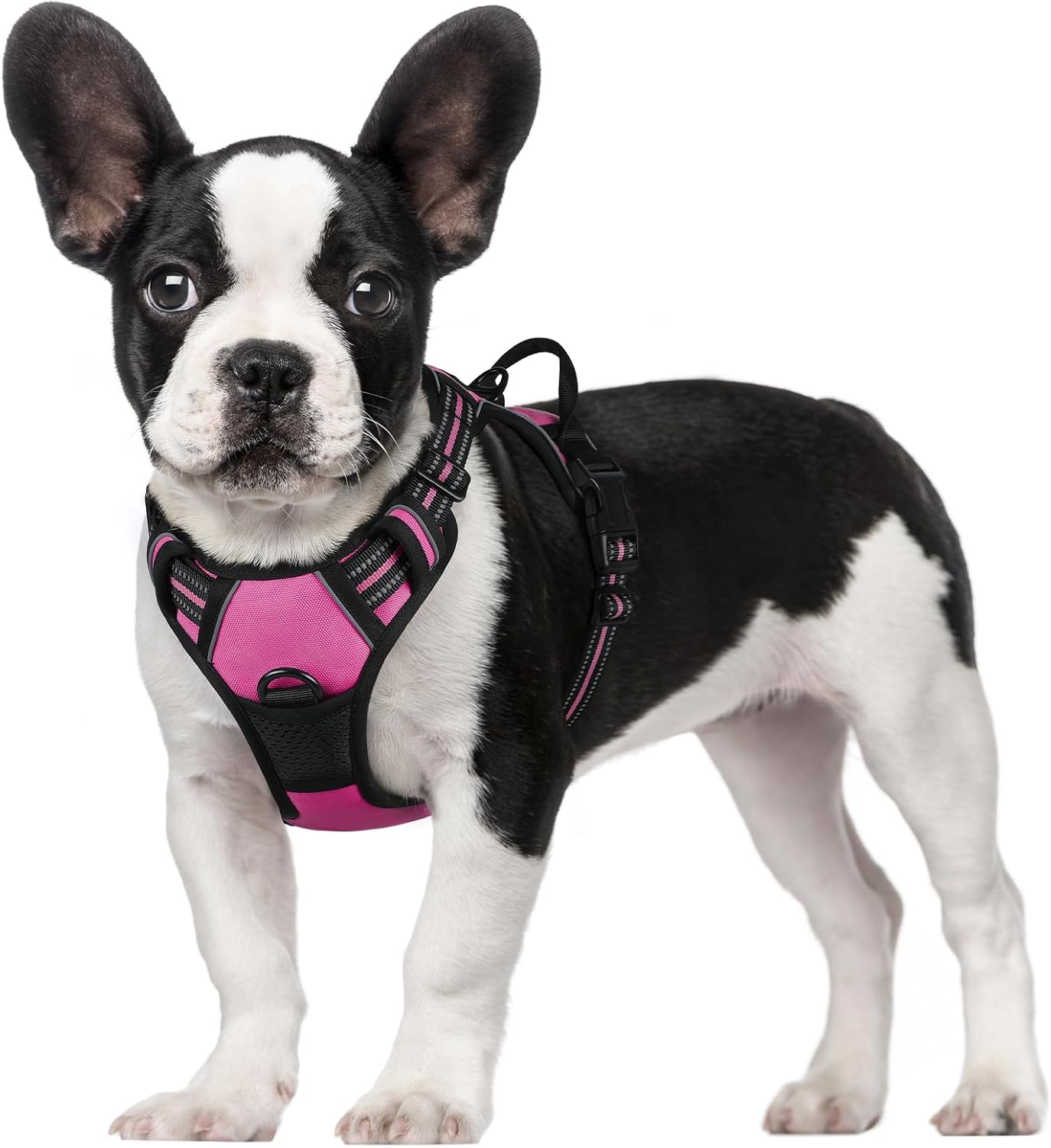 rabbitgoo Dog Harness Dog No Pull Pet Harness | PetNestUK