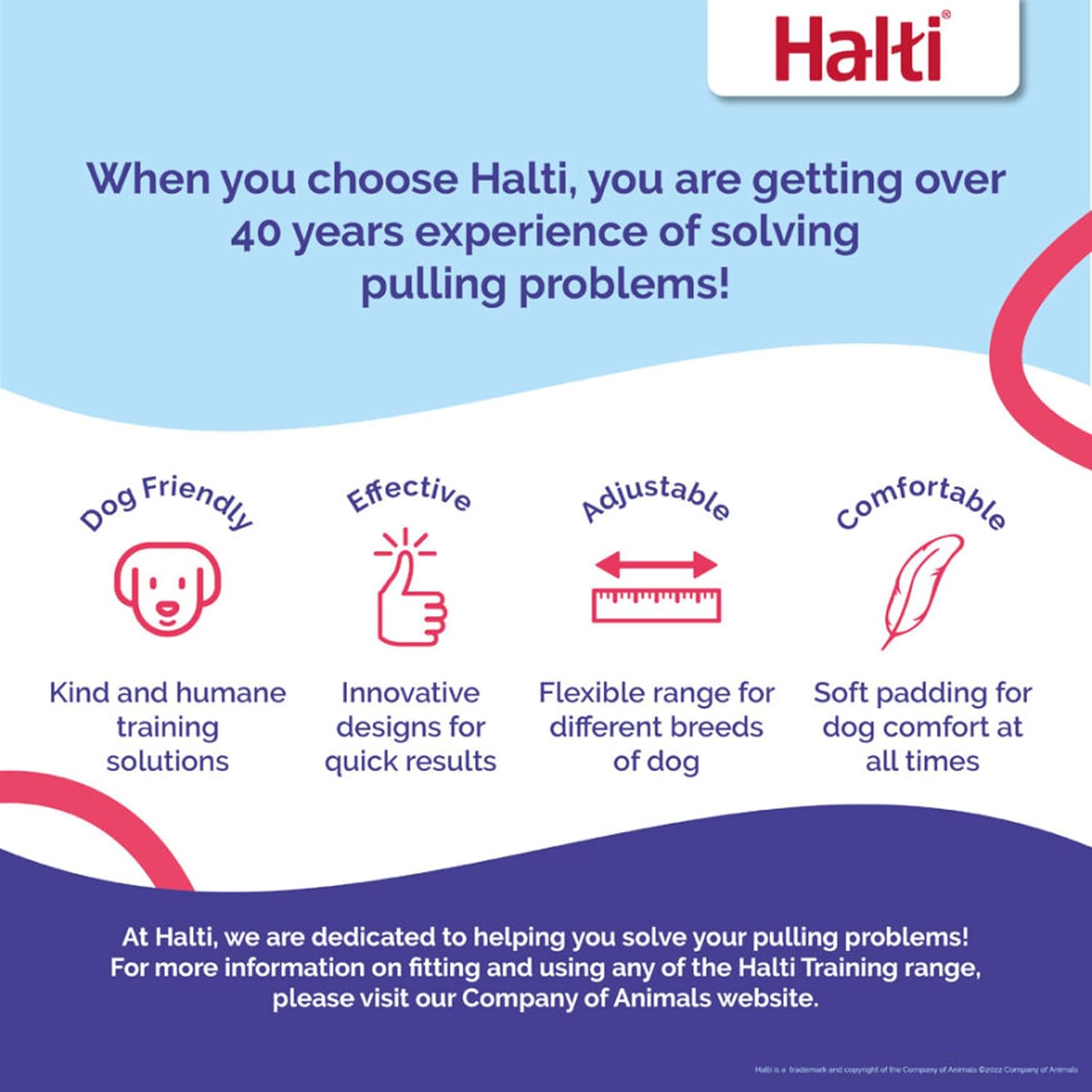 HALTI Training Lead | PetNestUK