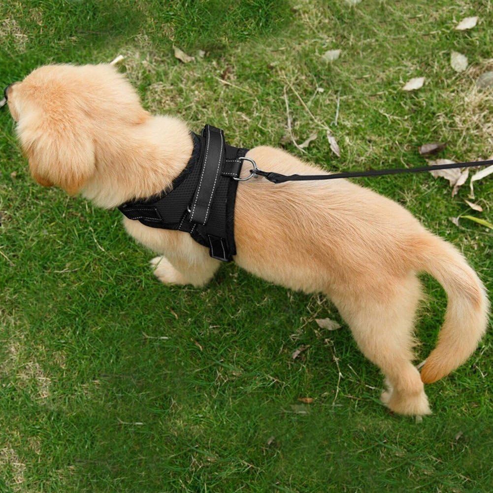 Dog Harness Mesh Breathable Comfortable Pet Vest | PetNestUK