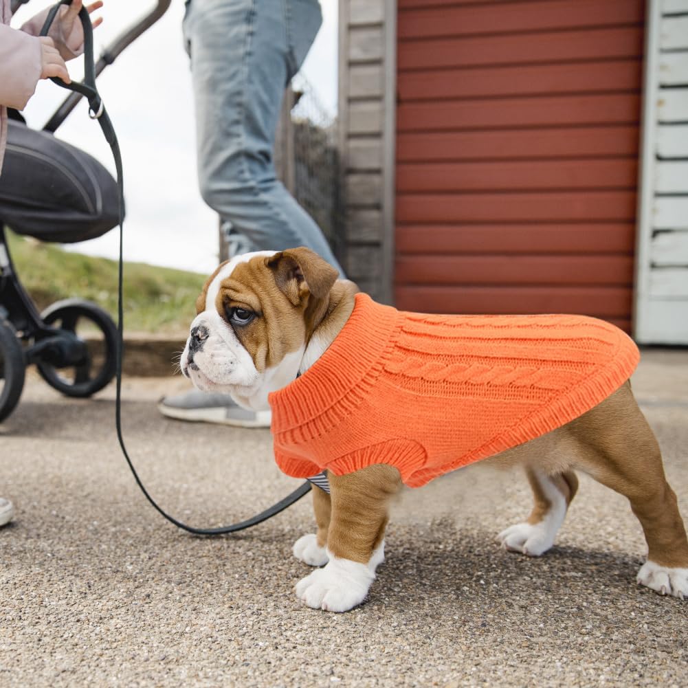 Small Dog Jumper, Warm Puppy Sweater for Small | PetNestUK