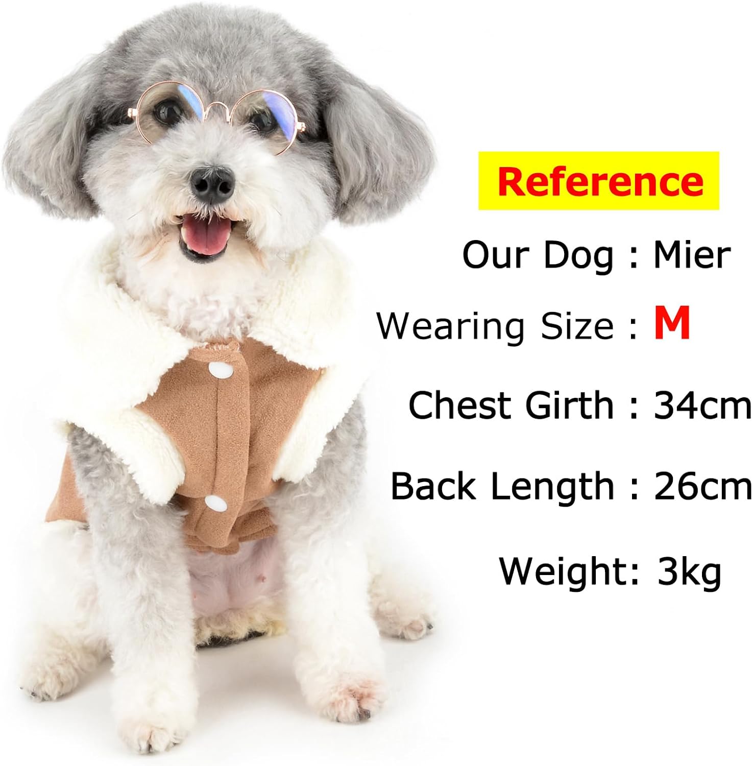 Zunea Dog Winter Coats for Small Dogs Cats | PetNestUK