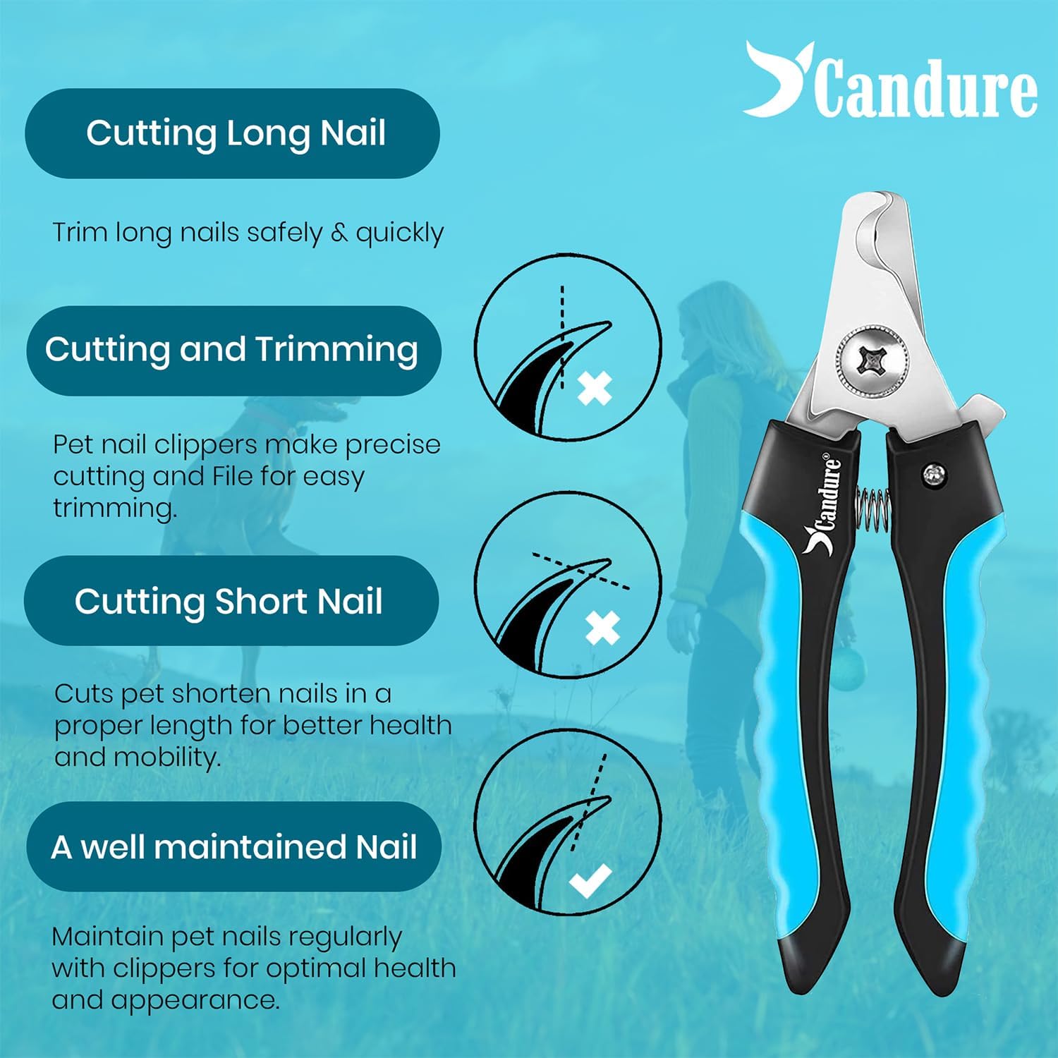 Candure Dog Nail Clippers for Large, Medium and | PetNestUK