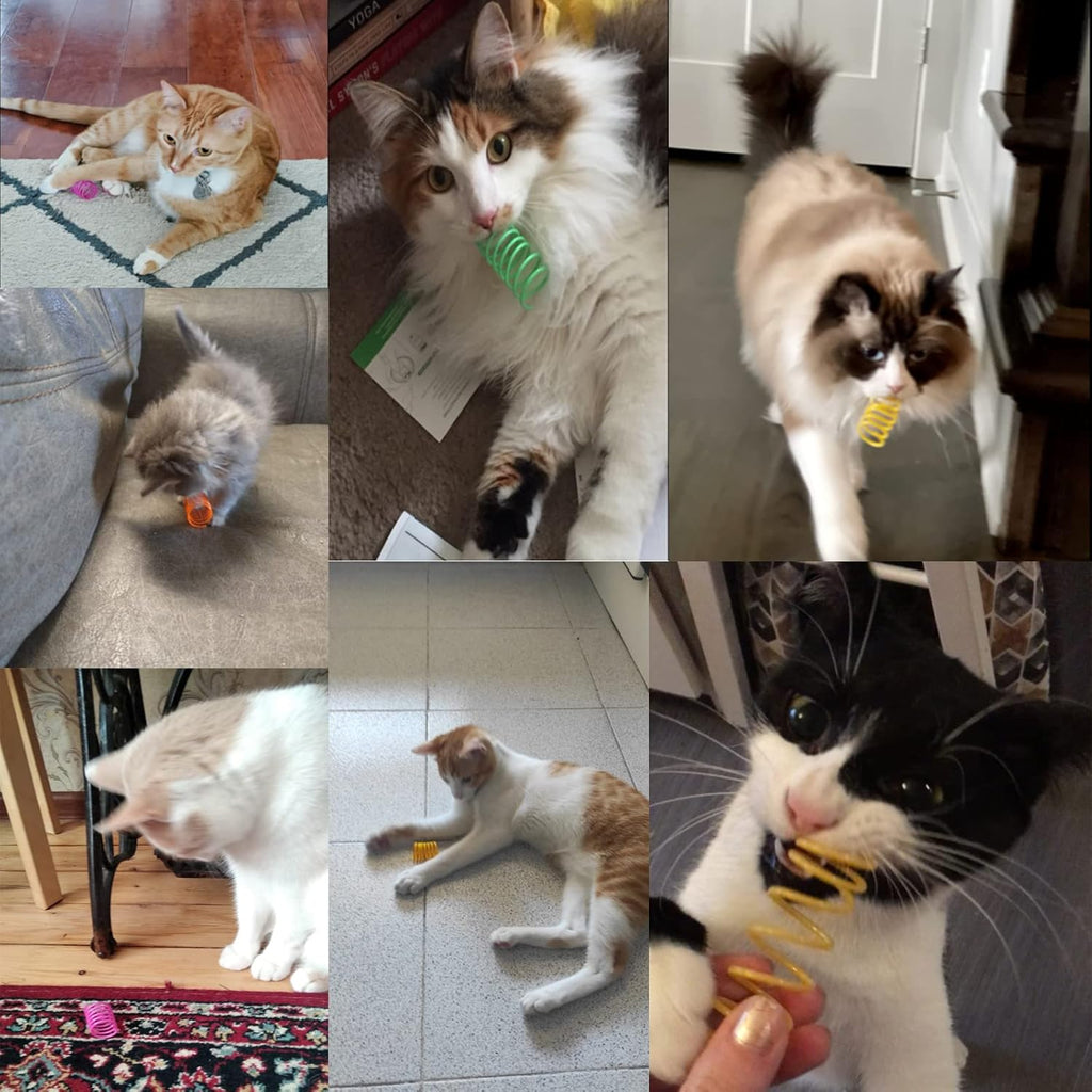 Petnice 12 Pcs Cat Colorful Springs Toys, Cat | PetNestUK