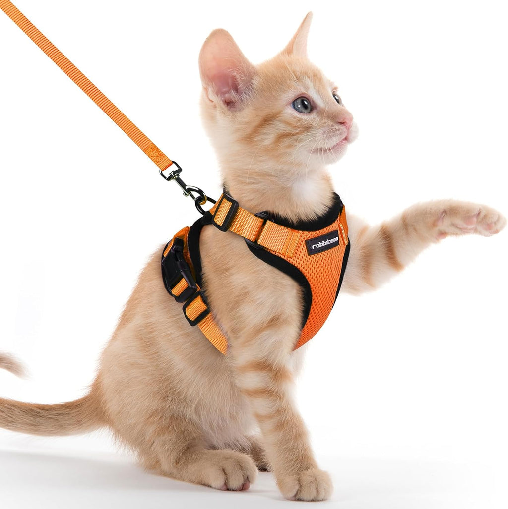 rabbitgoo Cat Harness and Lead Set, Escape Proof | PetNestUK