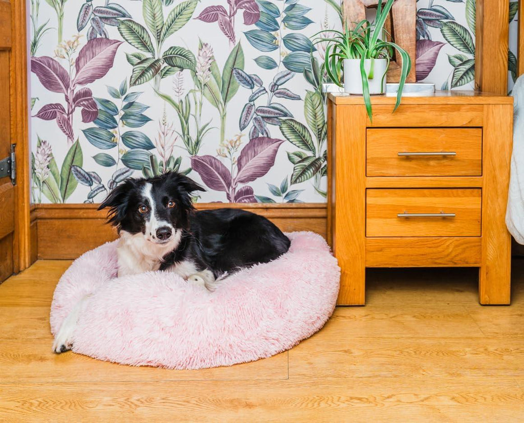 Woof & Whiskers Donut Beds For Dogs Grey Dog Bed | PetNestUK