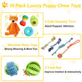 Kapetgo Puppy Toy Set, 10 Pieces