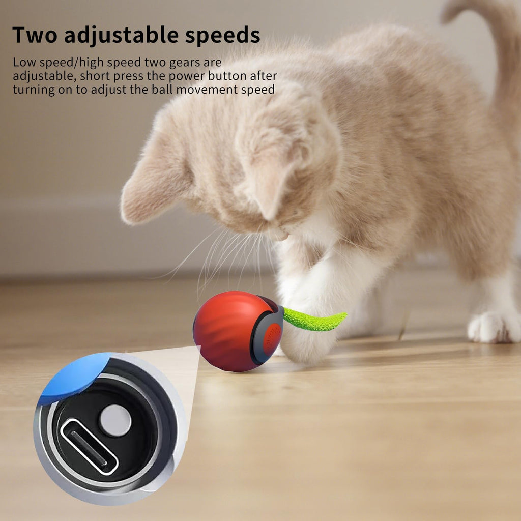 Speedy Tail Cat Toy, Speedy Tail 2.0, Smart | PetNestUK