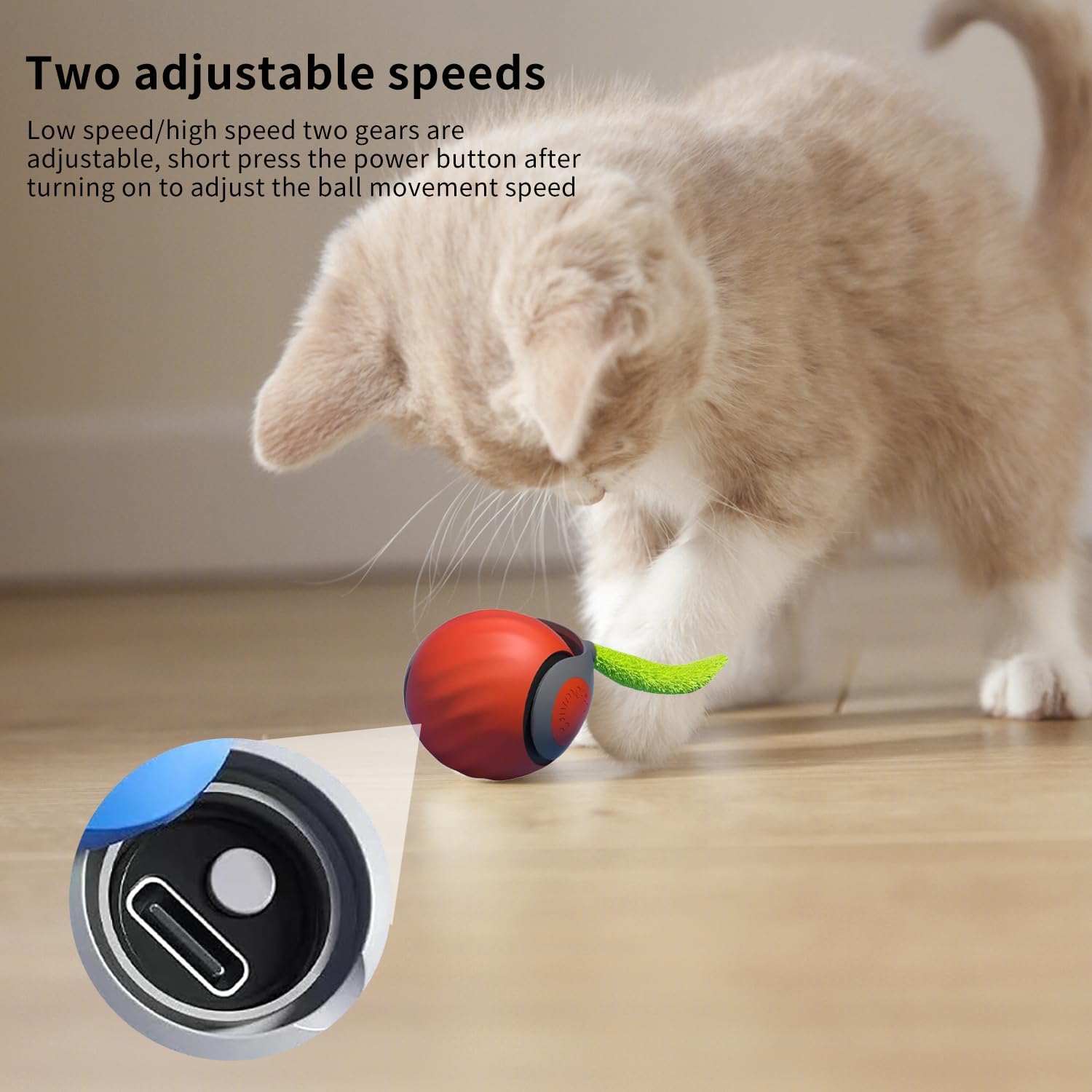Speedy Tail Cat Toy, Speedy Tail 2.0, Smart | PetNestUK