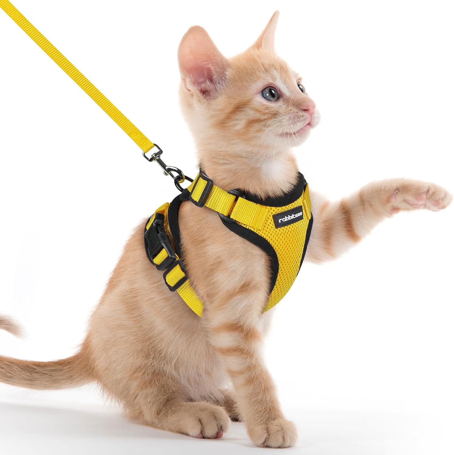 rabbitgoo Cat Harness and Lead Set, Escape Proof | PetNestUK