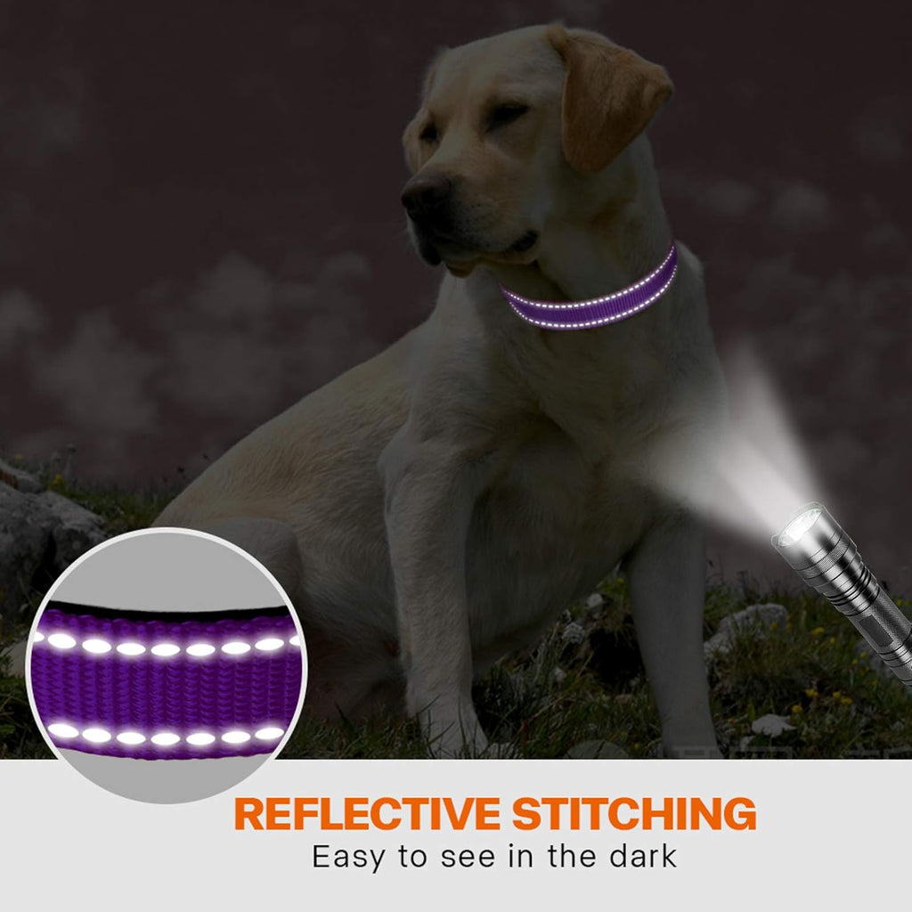 Taglory Reflective Nylon Dog Collar with Safety | PetNestUK